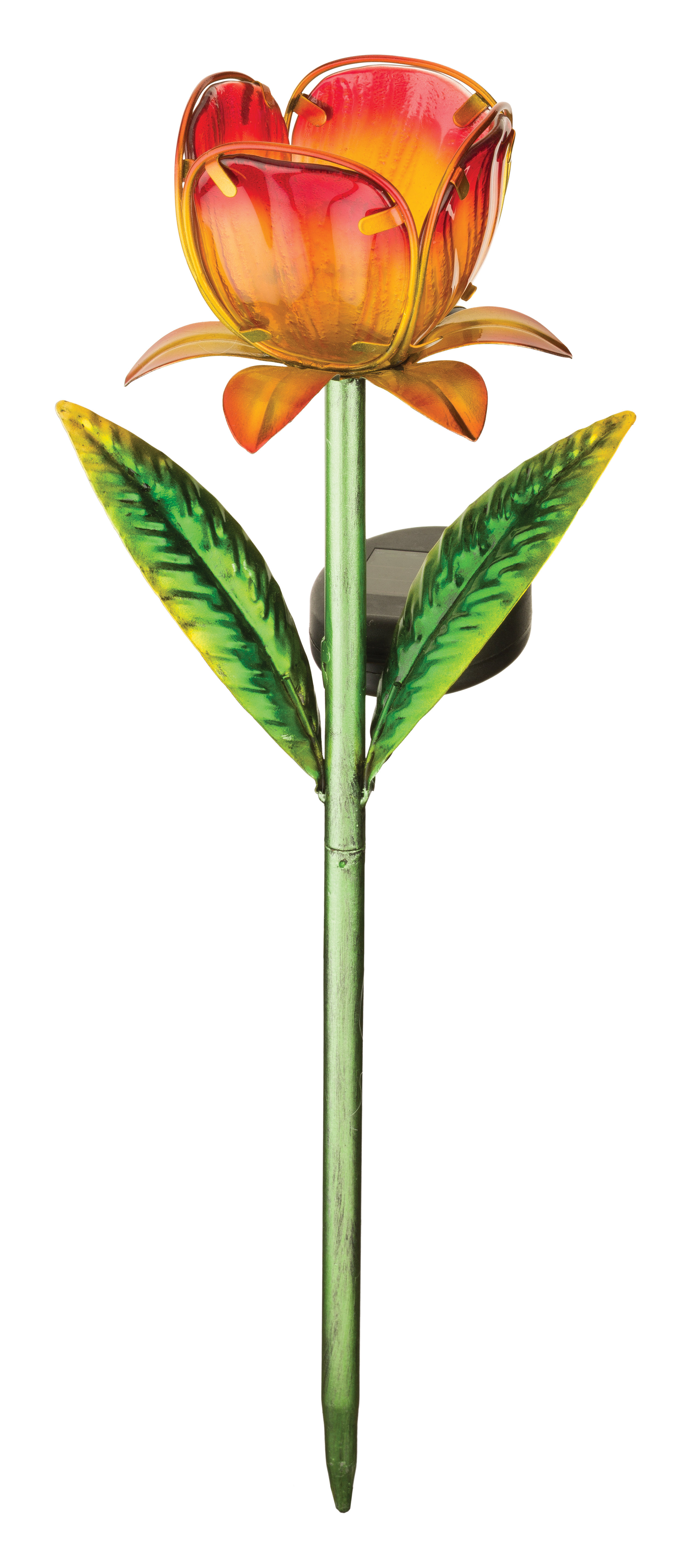 Solar tulip new arrivals